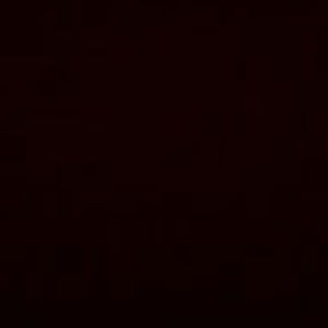 Meet your Posher, Amelia